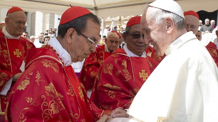 Cardenal Rosa Chávez con el papa Francisco